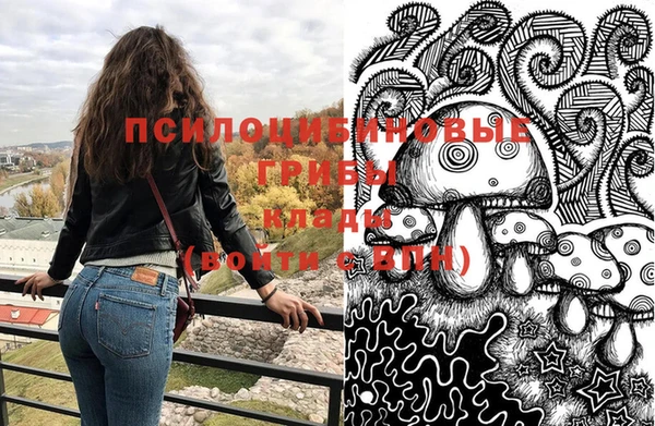МДМА Алексеевка